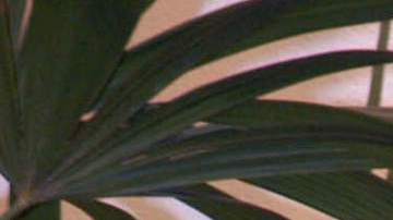 Ricardo Casares, conductor de 'Venga la Alegría'.