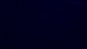 La compañía  Ringling Bros. and Barnum & Bailey retorna a la Gran Mazana./Cortesía