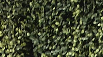 Olivia Culpo y Christian McCaffrey están juntos desde 2019.