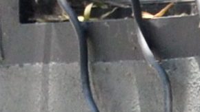 Ozzy Osbourne es dueño de dos apartamentos en Sierra Towers.