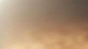 Semillas de Chía, un superalimento.