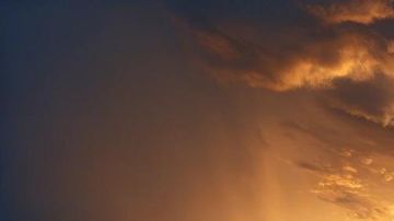 Un león macho llamado Atlas y dos hembras, Luladja y Queen, llegaron a su nuevo hogar en el Parc de l'Auxois.