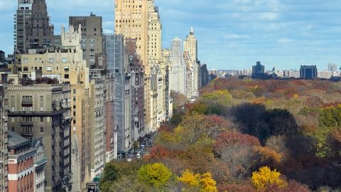 Central Park Nueva york