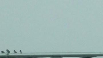 El Van Wyck Expressway luce renovado gracias a una millonaria inversión./Governor Office