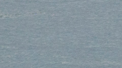 Orcas