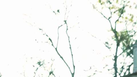 "Vivir de amor" es una telenovela del productor Salvador Mejía, que se estrenará en el mes de febrero por Univision.