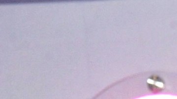 Wendy Guevara, ganadora de 'La Casa de los Famosos México'.