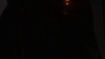 Demi Rose siempre acapara miradas en redes sociales