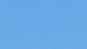 arizona-rentas-alquiler-precio