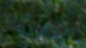 Falleció el lanzador dominicano José De León a sus 63 años.