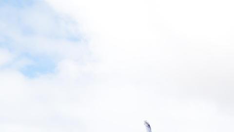 Personas se manifiestan durante una protesta para exigir mayor control fronterizo,