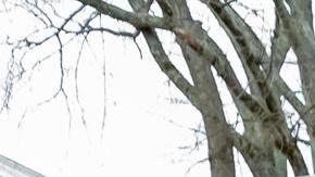 "Vamos a ser competitivos en Carolina del Sur, luego nos dirigiremos a Michigan y luego al Súper Martes", dijo.