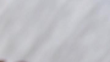 Este será el decimonoveno libro que ha publicado López Obrador.