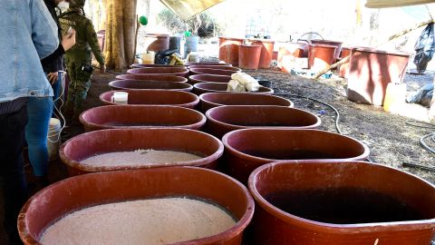 Las autoridades hallaron tanques con droga sintética en un laboratorio clandestino.