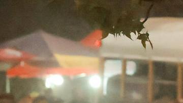 Reyerta entre hinchas del Monterrey y Comunicaciones dejó saldo de varios heridos graves [Video]