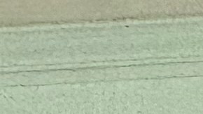 El músico Paco de Lucía falleció el 25 de febrero de 2014 y esta vez lo recordaron con un especial festival.