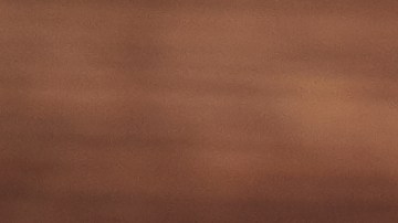 mesera-propina-despedida