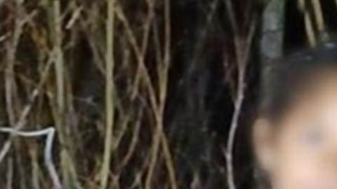 Rescataron a ocho migrantes que estaban atrapados en el río Bravo: dos de ellos menores de edad