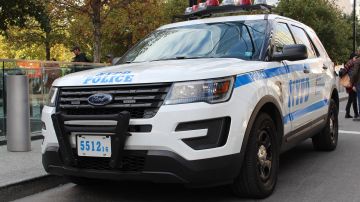 Según el Departamento de Policía de Nueva York (NYPD), se prepararon 10 informes juveniles.