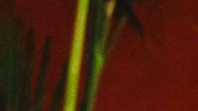 “En todo momento, o yo o el subsecretario estábamos a cargo”, afirmó.