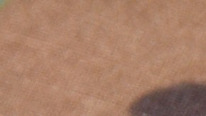 Más de 20 prisiones en el estado de Nueva York contarán con la presencia de miembros de la Guardia Nacional.