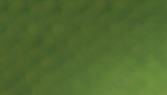 Jugos para bajar la presión