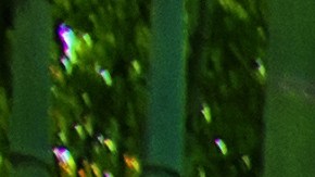 Bamboo,Forest,In,Japan,,Arashiyama,,Kyoto