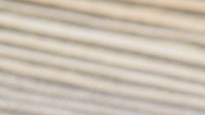 Una empresa presenta con éxito la primera carne de anguila creada en laboratorio