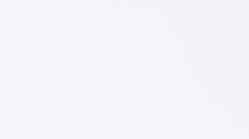 Día de la Margarita