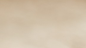 Té de hierbas Rooibos