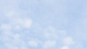 La maqueta del nuevo centro recreativo Mary Cali Dalton en Tompkinsville, Staten Island. /NYC Mayoral Office