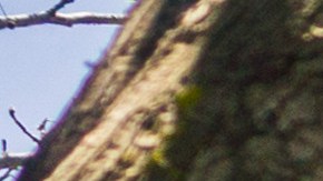 Tiendas Walmart cerrarán en varios estados