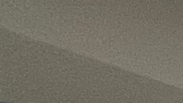 Organizaciones lanzarán ofensiva para frenar a Trump en elecciones