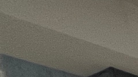 Organizaciones lanzarán ofensiva para frenar a Trump en elecciones