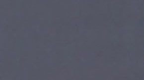 Thalía posando en una alfombra roja.