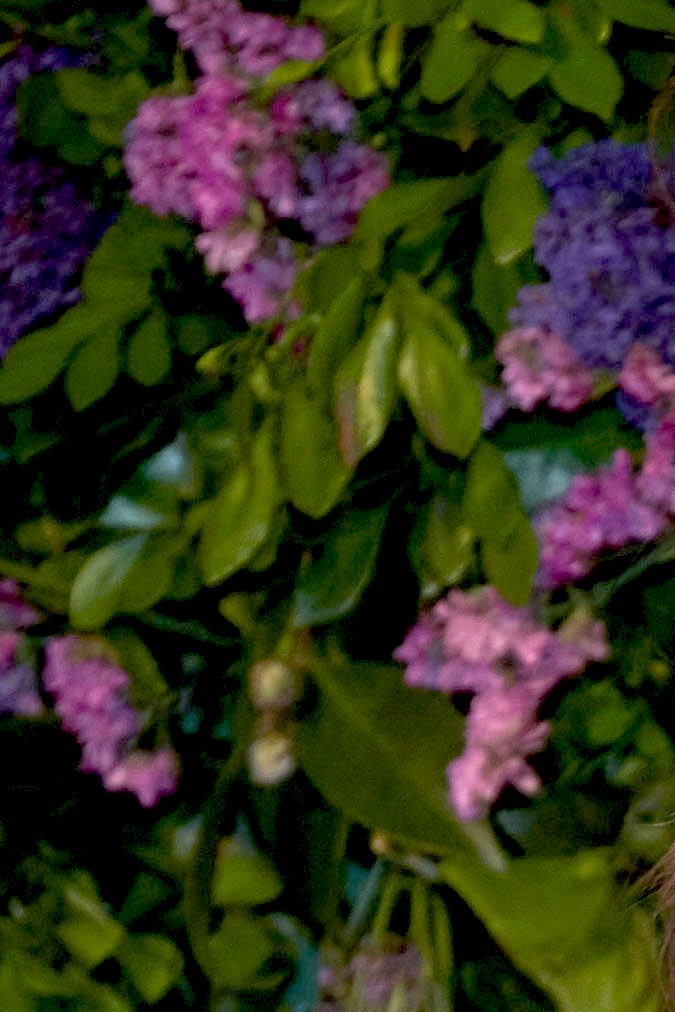 Galilea Montijo a sus 50 años ha atravesado circunstancias difíciles.