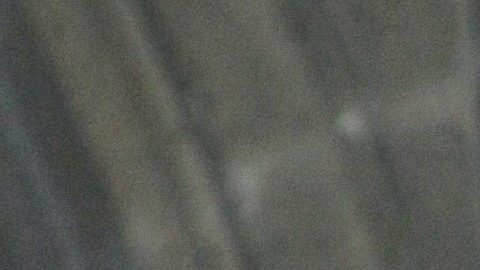 Fernando Colunga posando.