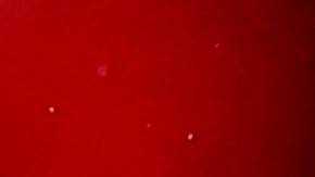 Kylian Mbappé fue sustituido en el entretiempo y terminó viendo el partido en el palco con su madre