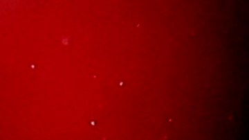 Kylian Mbappé fue sustituido en el entretiempo y terminó viendo el partido en el palco con su madre