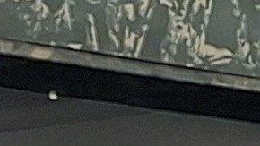 Los representantes neoyorquinos Alexandria Ocasio -Cortez y Adriano Espaillat refieren que la "ayuda a Ecuador no ofrece estabilidad a miles de migrantes que siguen huyendo"