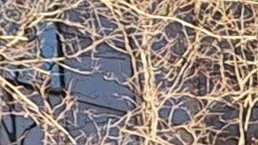 Por varios años esta legislación ha quedado estancada por falta de acuerdos entre el ejecutivo estatal y sus patrocinantes.