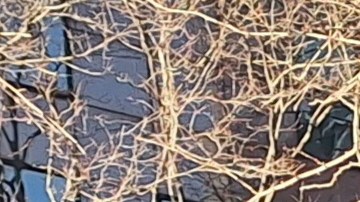 Por varios años esta legislación ha quedado estancada por falta de acuerdos entre el ejecutivo estatal y sus patrocinantes.