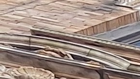 El informe estima que menos de 2,000 unidades de renta controlada y estabilizada, que se alquilan por $1,500 o menos, están vacías debido a la supuesta incapacidad de los propietarios para hacer reparaciones