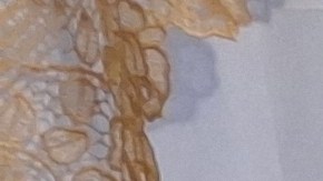 La poblana Luisa Aragón vive en condiciones deplorables por las filtraciones.