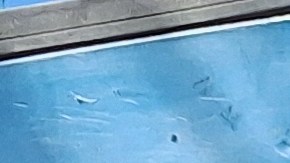 El ecuatoriano Julio Chávez tiene una historia personal de crecimiento en este negocio, pero no es la realidad de todo este sector.