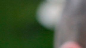 Angelina Jolie y Brad Pitt posando.