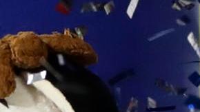 Jugadores de República Dominicana celebran al ganar la primera Serie del Caribe Kids.