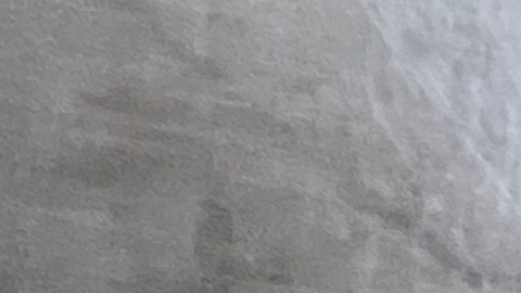 La Comisión de Derechos Humanos de la Ciudad de NY recuerda a mujeres trabajadoras que están protegidas contra el acoso y la discriminación y pueden solicitar reparación económica