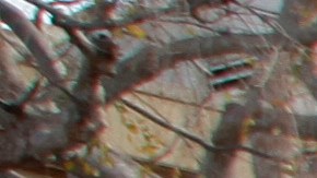 Disney ha cerrado otras atracciones, previamente, por temas de reacondicionamento.