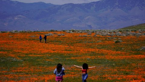 Antelope Valley